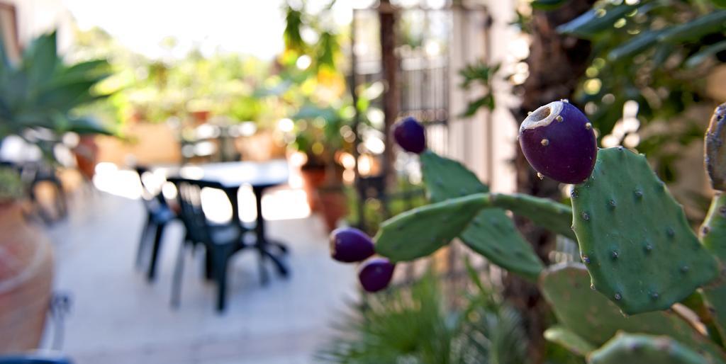 Villa Santantonio 지아르디니낙소스 외부 사진